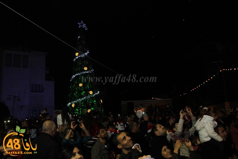 tree xrismass (12).JPG